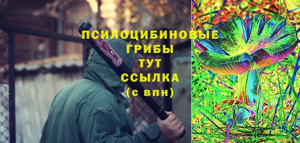 гидра Абаза