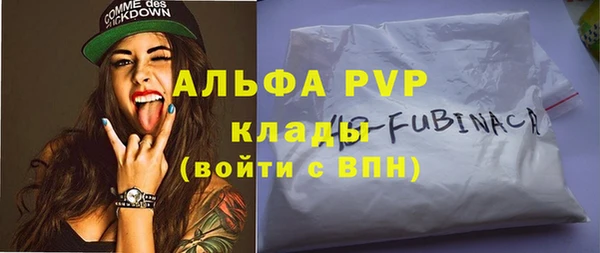 прущие грибы Абдулино