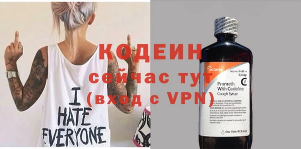 гидра Абаза