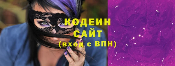 гидра Абаза