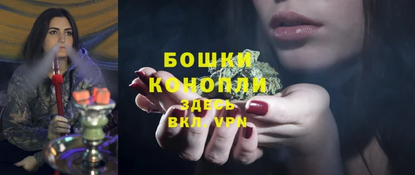 прущие грибы Абдулино